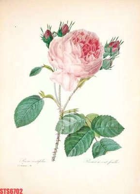 File gốc Tranh sơn dầu phương tây tổng hợp STS6702 (ảnh rõ nét) để in