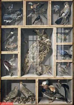 File PSD Tranh sơn dầu phương tây tổng hợp STS67322 (nguyên gốc) chất lượng cao