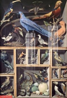 Download file tranh PSD Tranh sơn dầu phương tây tổng hợp STS67325 để chỉnh sửa