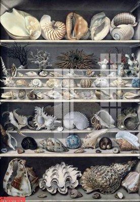 Chi tiết file tranh tráng gương Tranh sơn dầu phương tây tổng hợp STS67326 (ảnh gốc)