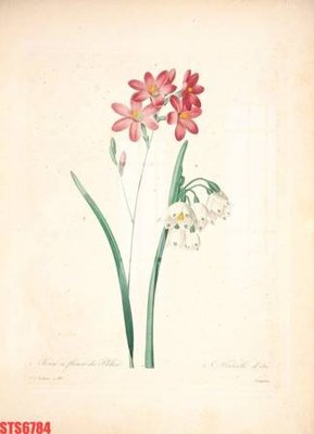 Download file gốc Tranh sơn dầu phương tây tổng hợp STS6784 (in mica) trang trí