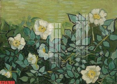 Hình ảnh file gốc in lụa Tranh sơn dầu phương tây tổng hợp STS67889