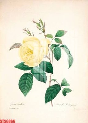 File gốc Tranh sơn dầu phương tây tổng hợp STS6866 (phiên bản chuẩn) để in ấn