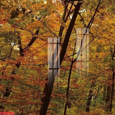 File tranh Tranh sơn dầu phương tây tổng hợp STS6939 (bản gốc) trang trí văn phòng