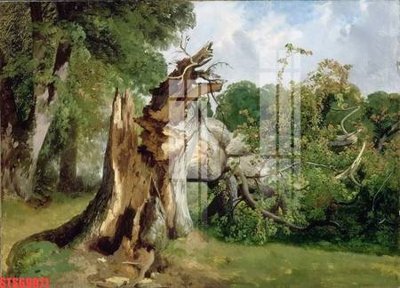 File tranh Tranh sơn dầu phương tây tổng hợp STS69971 (ảnh gốc) chi tiết rõ ràng