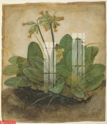 File in lụa Tranh sơn dầu phương tây tổng hợp STS70509 (hoa văn) Tranh sơn dầu phương tây tổng hợp STS70509