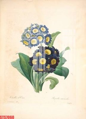 Tải file gốc Tranh sơn dầu phương tây tổng hợp STS7060 (in tráng gương) 5DFile gốc Tranh sơn dầu phương tây tổng hợp STS7060 (in ấn) phiên bản premium