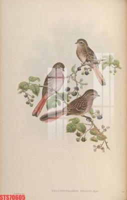 Mua file gốc Tranh sơn dầu phương tây tổng hợp STS70605 (PSD) tại Filetranh.com