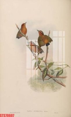 Download file Tranh sơn dầu phương tây tổng hợp STS70607 (gốc) cho xưởng in