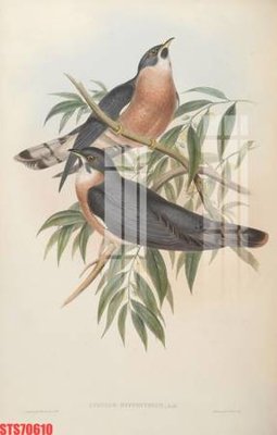 Tải file Tranh sơn dầu phương tây tổng hợp STS70610 (gốc) làm file in ấn