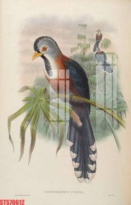 File tranh in mica Tranh sơn dầu phương tây tổng hợp STS70612 (độ phân giải cao)