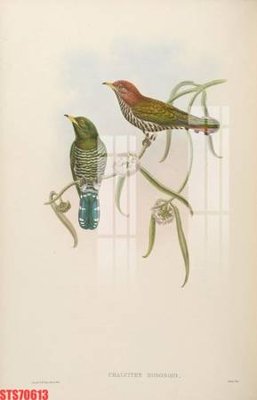 File ảnh Tranh sơn dầu phương tây tổng hợp STS70613 (gốc) in decal dán tường