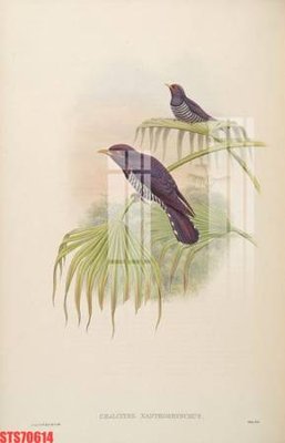 File PSD Tranh sơn dầu phương tây tổng hợp STS70614 (chất lượng in ấn)