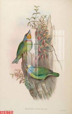 Hình ảnh file gốc Tranh sơn dầu phương tây tổng hợp STS70617 cho in UV