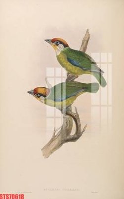 File in mica Tranh sơn dầu phương tây tổng hợp STS70618 (bản gốc) sắc sảo