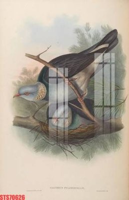 File in lụa Tranh sơn dầu phương tây tổng hợp STS70626 (chất lượng cao) Tranh sơn dầu phương tây tổng hợp STS70626