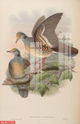 Tải file Tranh sơn dầu phương tây tổng hợp STS70628 (PSD) cho in tranh 3D