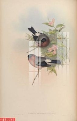 Tải file Tranh sơn dầu phương tây tổng hợp STS70638 (ảnh gốc) file TIFF