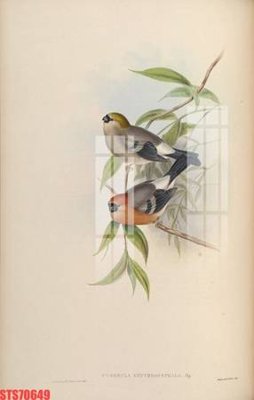 File gốc Tranh sơn dầu phương tây tổng hợp STS70649 (in mica) cắt laser