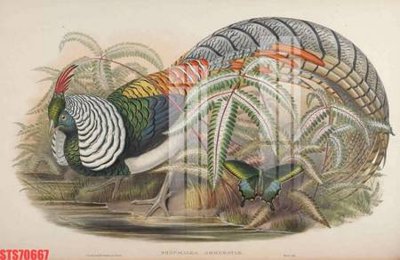 Tải file gốc Tranh sơn dầu phương tây tổng hợp STS70667 (bản PSD) gốc