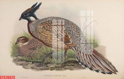 File tranh Tranh sơn dầu phương tây tổng hợp STS70673 (gốc) chủ đề trẻ em