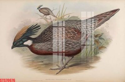 Download file gốc Tranh sơn dầu phương tây tổng hợp STS70676 (in mica) 3D