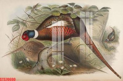 Chi tiết file ảnh Tranh sơn dầu phương tây tổng hợp STS70690 sắc nét