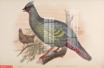 File in lụa Tranh sơn dầu phương tây tổng hợp STS70691 (chất lượng cao) Tranh sơn dầu phương tây tổng hợp STS70691