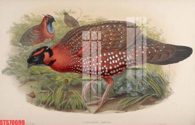 File ảnh Tranh sơn dầu phương tây tổng hợp STS70699 (gốc) in backdrop sự kiện