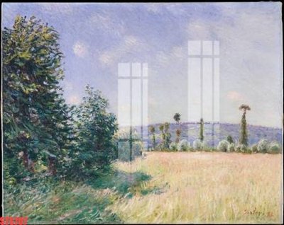 Tải file gốc Tranh sơn dầu phương tây tổng hợp STS707 (in tráng gương) siêu đẹpFile tranh gốc Tranh sơn dầu phương tây tổng hợp STS707 chất lượng cao