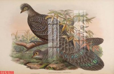 Download file Tranh sơn dầu phương tây tổng hợp STS70700 (gốc) in mica đèn LED