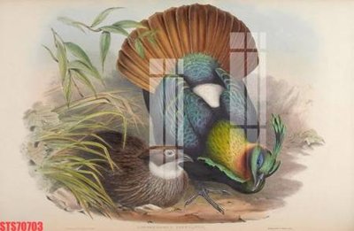 File PSD Tranh sơn dầu phương tây tổng hợp STS70703 (gốc) cho designer