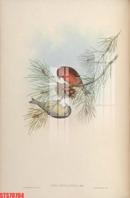 File in trần Tranh sơn dầu phương tây tổng hợp STS70704 (file gốc) xuyên sáng