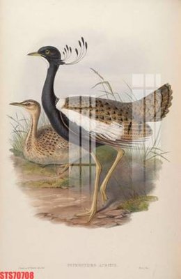 Download file Tranh sơn dầu phương tây tổng hợp STS70708 (gốc) in mica cao cấp