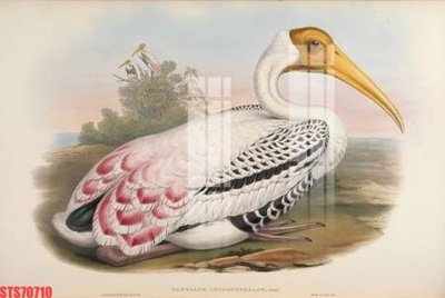 File gốc Tranh sơn dầu phương tây tổng hợp STS70710 (in lụa) hoa văn cổ điển