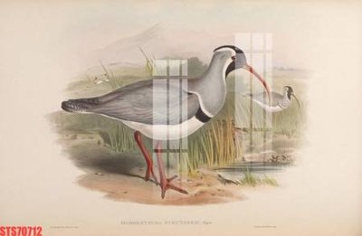 Tệp tin gốc Tranh sơn dầu phương tây tổng hợp STS70712 (dùng cho in ấn) chuyên nghiệp