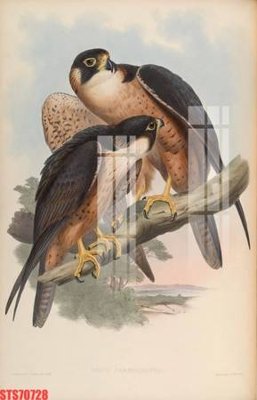 File in trần Tranh sơn dầu phương tây tổng hợp STS70728 (file gốc) hoa văn 3D