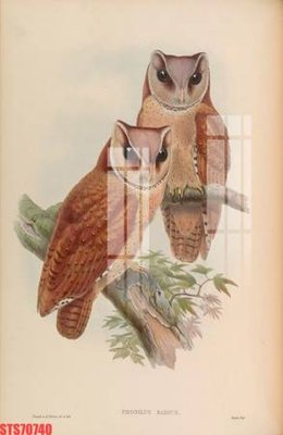 Download file Tranh sơn dầu phương tây tổng hợp STS70740 (gốc) in mica bàn thờ