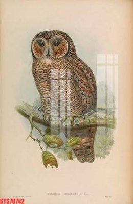 File gốc Tranh sơn dầu phương tây tổng hợp STS70742 (ảnh chi tiết) để in trần