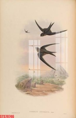 Download file Tranh sơn dầu phương tây tổng hợp STS70746 (gốc) in mica bàn thờ