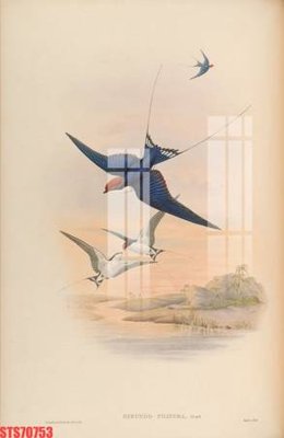 File tranh Tranh sơn dầu phương tây tổng hợp STS70753 (ảnh gốc) chi tiết rõ ràng