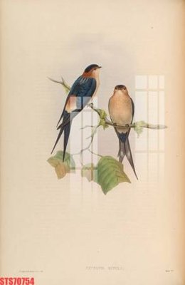 File ảnh Tranh sơn dầu phương tây tổng hợp STS70754 (gốc) cho trang trí nội thất