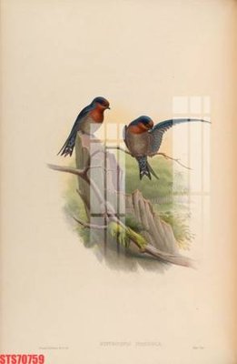 File tranh Tranh sơn dầu phương tây tổng hợp STS70759 (ảnh gốc) sắc nét hoàn hảo