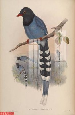 File PSD Tranh sơn dầu phương tây tổng hợp STS70760 (gốc) tách lớp chi tiết