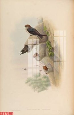 Ảnh mô tả file gốc in mica Tranh sơn dầu phương tây tổng hợp STS70761