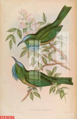 File tranh Tranh sơn dầu phương tây tổng hợp STS70765 (gốc) chủ đề thành phố