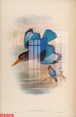 File ảnh Tranh sơn dầu phương tây tổng hợp STS70776 (gốc) in PP, decal