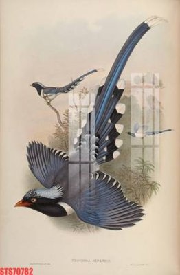 Tải file Tranh sơn dầu phương tây tổng hợp STS70782 (ảnh gốc) độ phân giải 300dpi