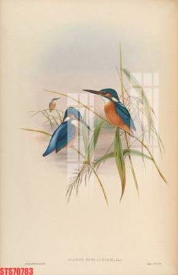 File tranh gốc Tranh sơn dầu phương tây tổng hợp STS70783 (sắc nét từng chi tiết)