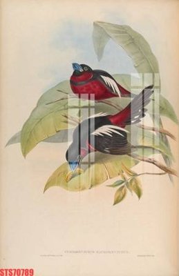 File PSD Tranh sơn dầu phương tây tổng hợp STS70789 (gốc) nhiều lớp (multi-layer)